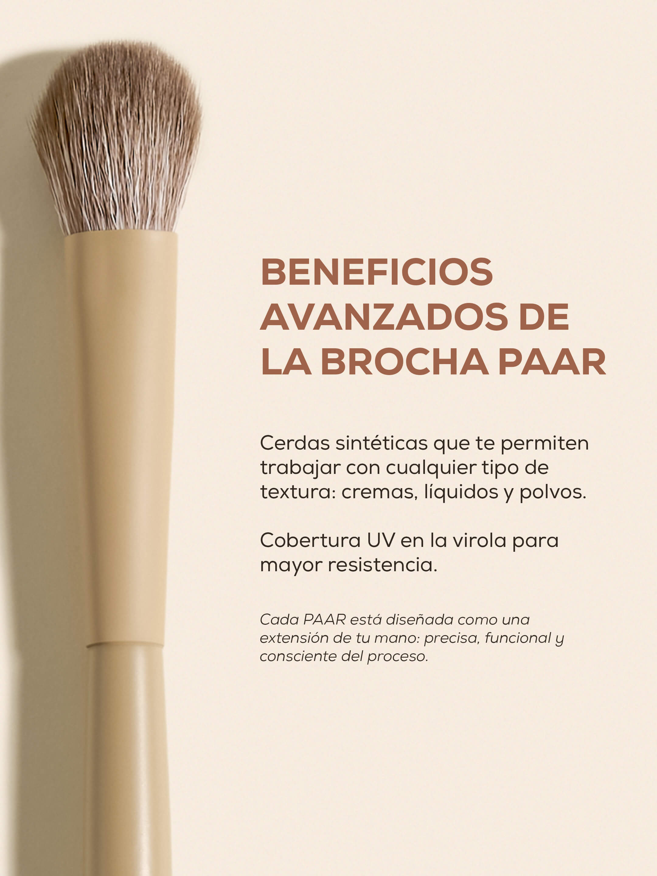GO TO ESSENTIALS - Set de brochas 6 piezas
